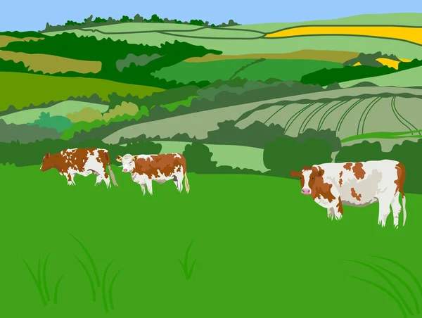 Βόσκουν αγελάδες στην εκμετάλλευση — Διανυσματικό Αρχείο