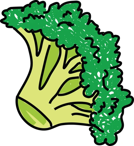 Illustrazione dei broccoli — Vettoriale Stock