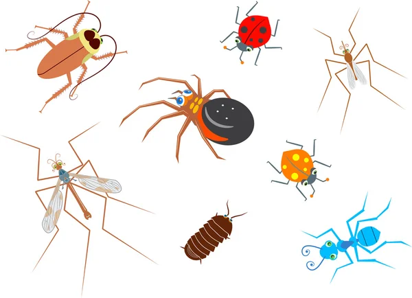 Aranha, barata, joaninha, pillbug, papai pernas longas e um mosquito — Vetor de Stock