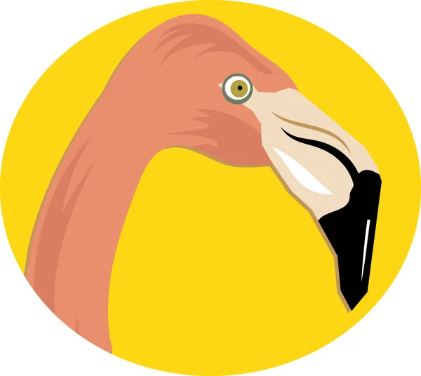 Roze flamingo illustratie — Stockvector