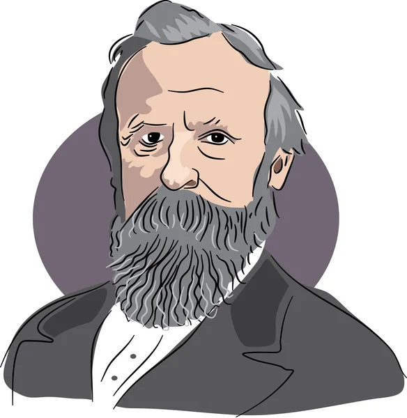 Amerikaanse president Rutherford B Hayes — Stockvector