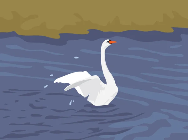 Cisne dos desenhos animados em um lago —  Vetores de Stock