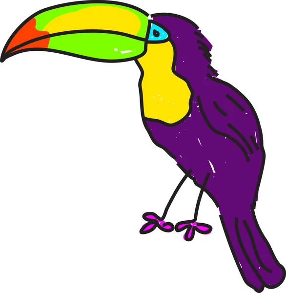 Toucan illustration — Stock Vector