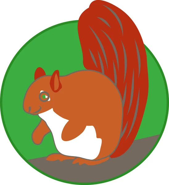 Red Wild Squirrel — Stock Vector