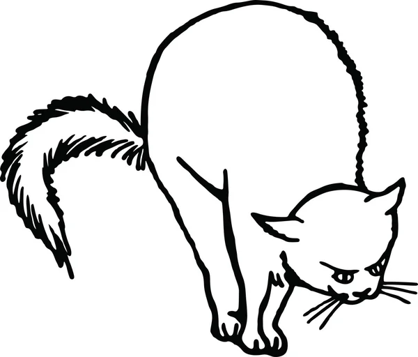 Zeichnung einer verängstigten Katze — Stockvektor