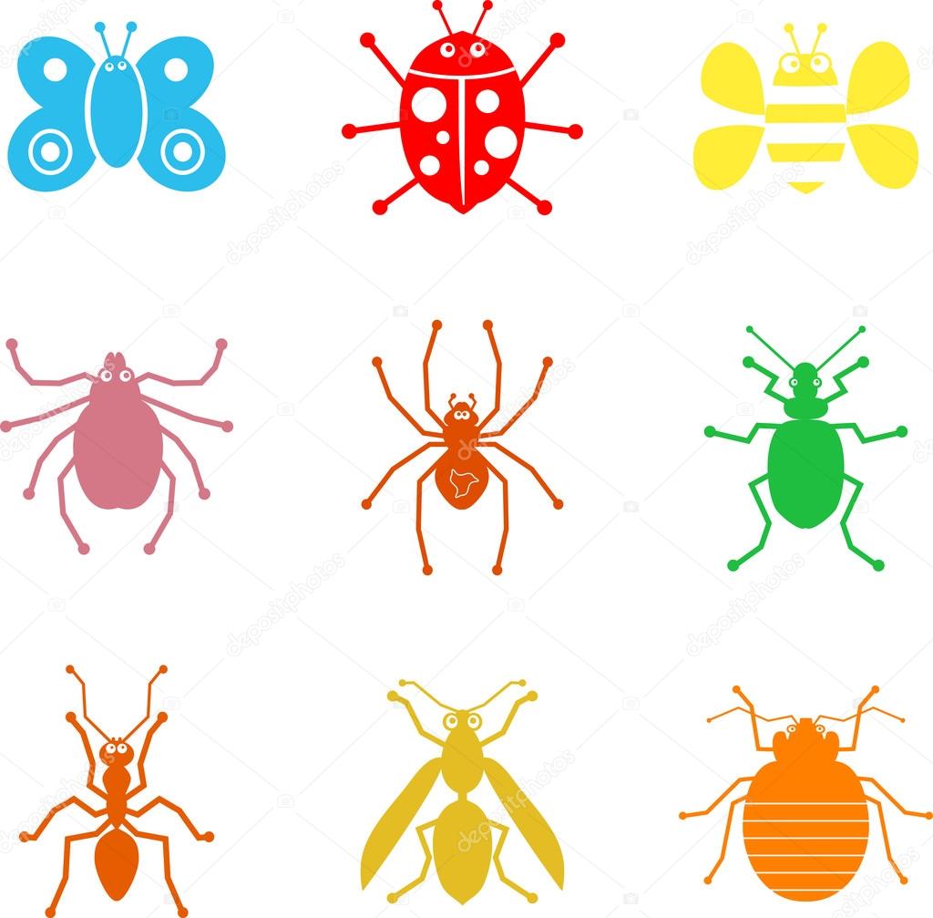 Insect icon set, thin line style, flat design