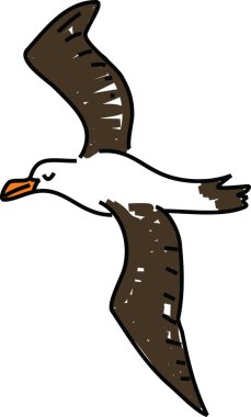 Albatros kuşu kaprisli çizim