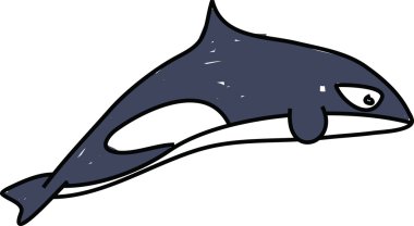 Katil balina çizimi