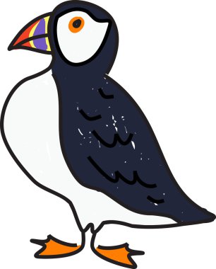 Puffin illüstrasyon