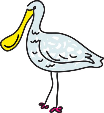 Kaşıkçı (kuş) illüstrasyon