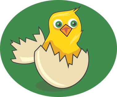 piliç illüstrasyonu