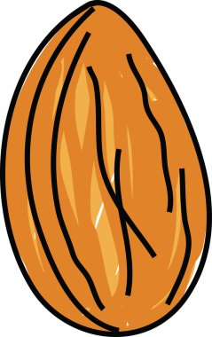 Badem fındık üzerine beyaz izole