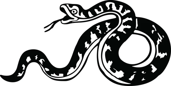 Dibujo de serpiente enrollada — Archivo Imágenes Vectoriales