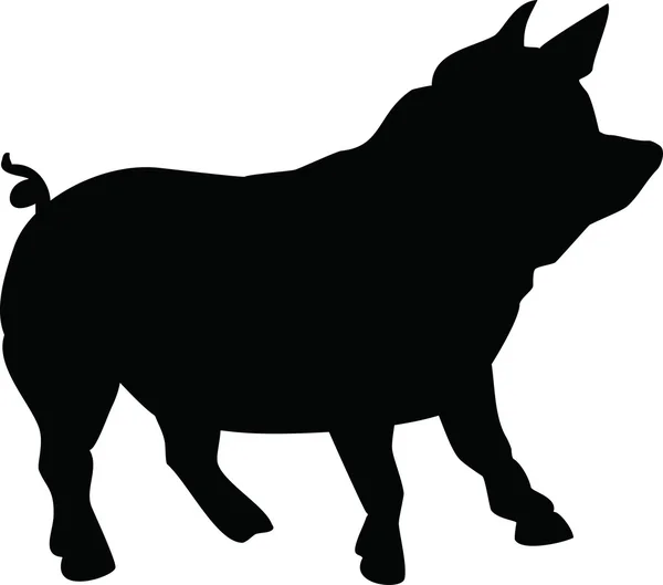 Ilustracja świni — Wektor stockowy