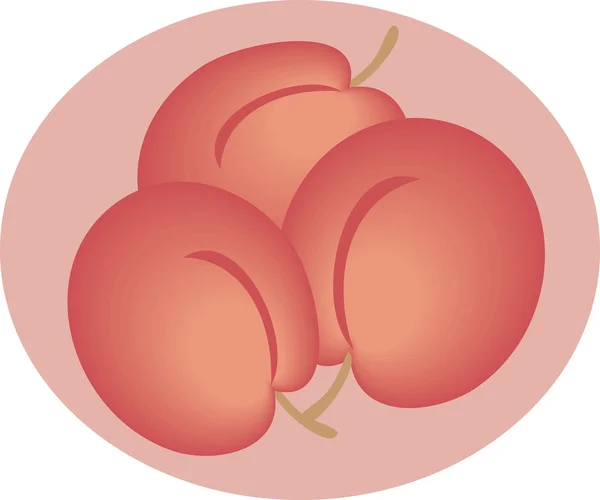 Plums illustration — Stock Vector