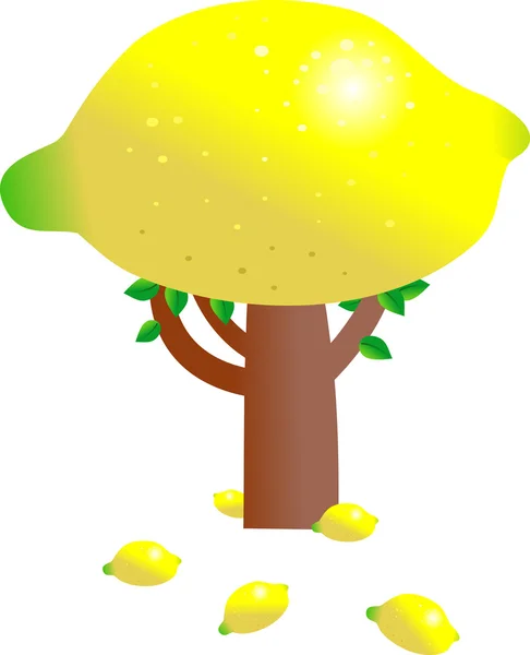Illustration of a citrus lemon tree — Stock Vector