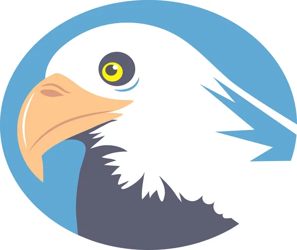 Bald eagle illustration — Stock vektor