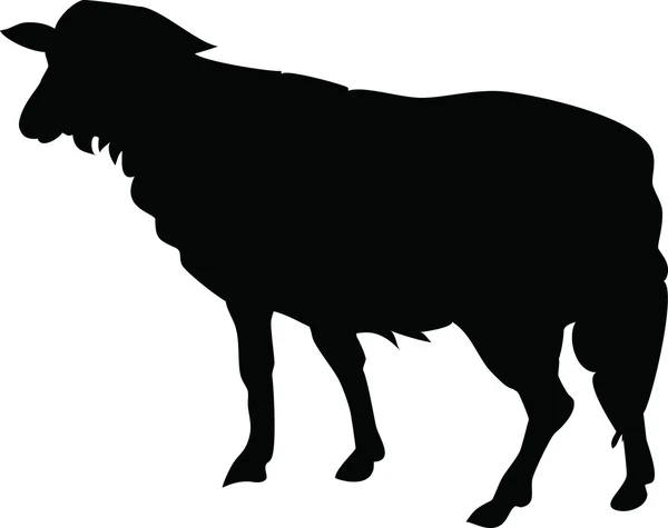 Sylwetka czarne owce — Wektor stockowy