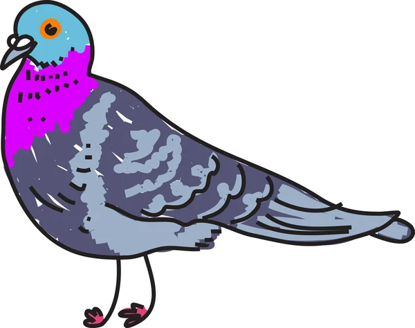 Pigeon illustration — Stock Vector