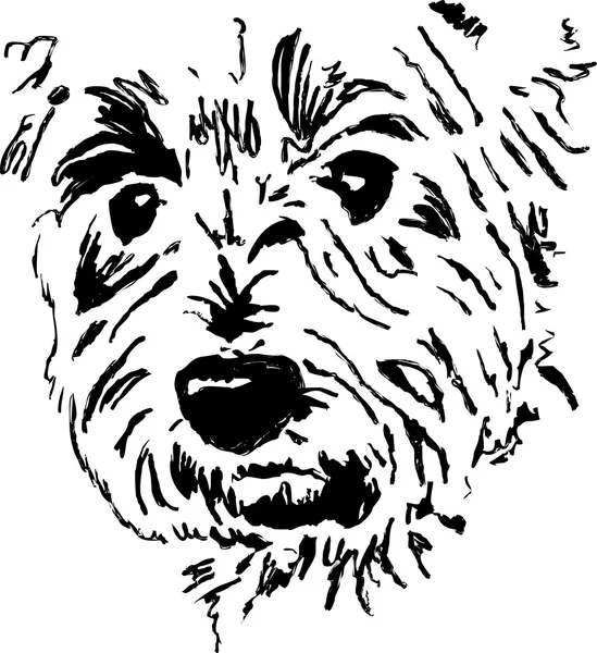 Welsh Terrier Pet Dog — Stock Vector