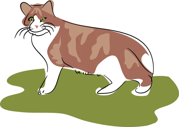 Ilustração de um gato em branco — Vetor de Stock