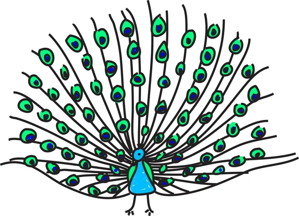 Peacock illustratie — Stockvector