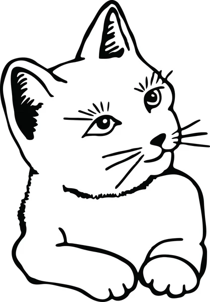 Zeichnung einer niedlichen Katze — Stockvektor