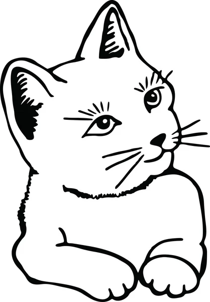 Dibujo de un lindo gato mascota — Vector de stock