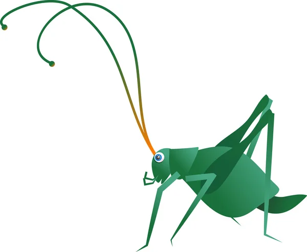 Illustration av en grön cricket — Stock vektor