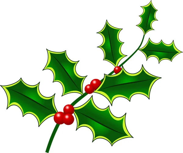 Hübsche weihnachtliche Stechpalmendekoration — Stockvektor
