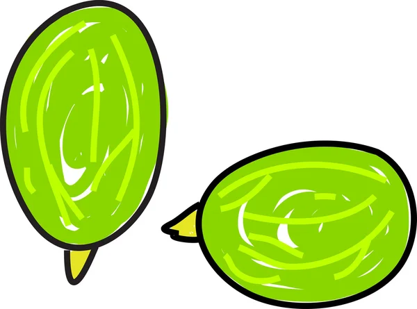 手描きベクトル熟した緑スグリの果実 — ストックベクタ