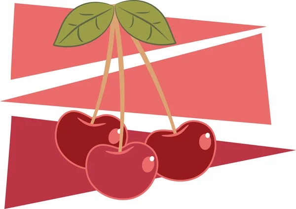 Cherries illustration — Stock Vector