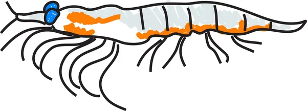 Illustration Krill — Image vectorielle