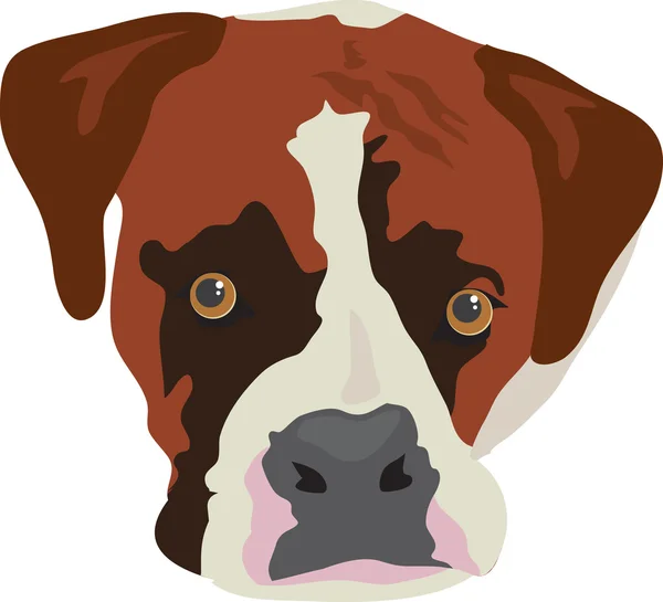 Cara de un perro boxeador — Archivo Imágenes Vectoriales