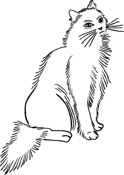 Lindo y esponjoso gato mascota — Vector de stock