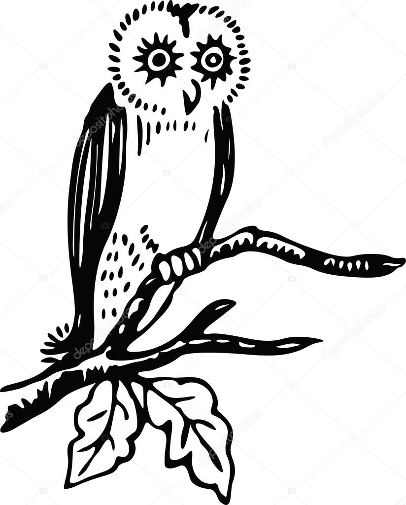 Mądra Sowa Stary Spoczywa Na Oddział Grafika Wektorowa