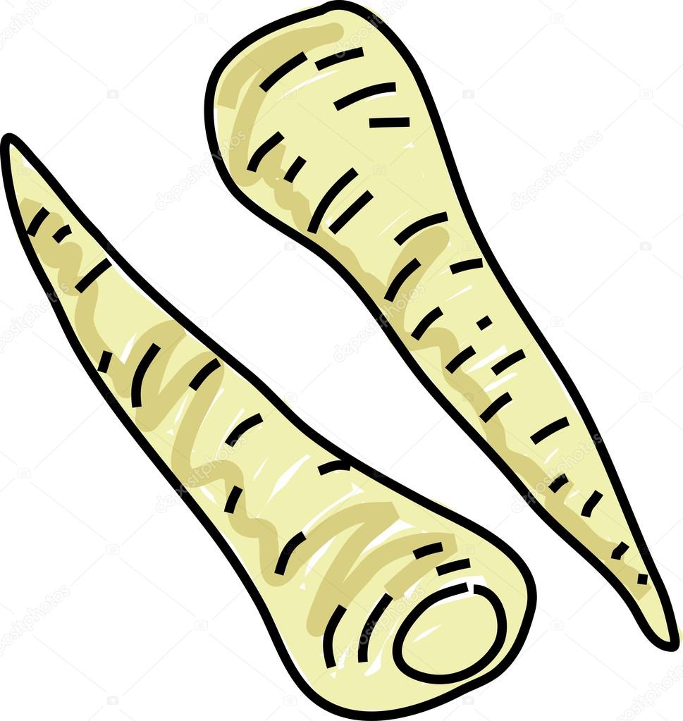 Cute cartoon Parsnip Stock Vector Image by ©Prawny 64293603