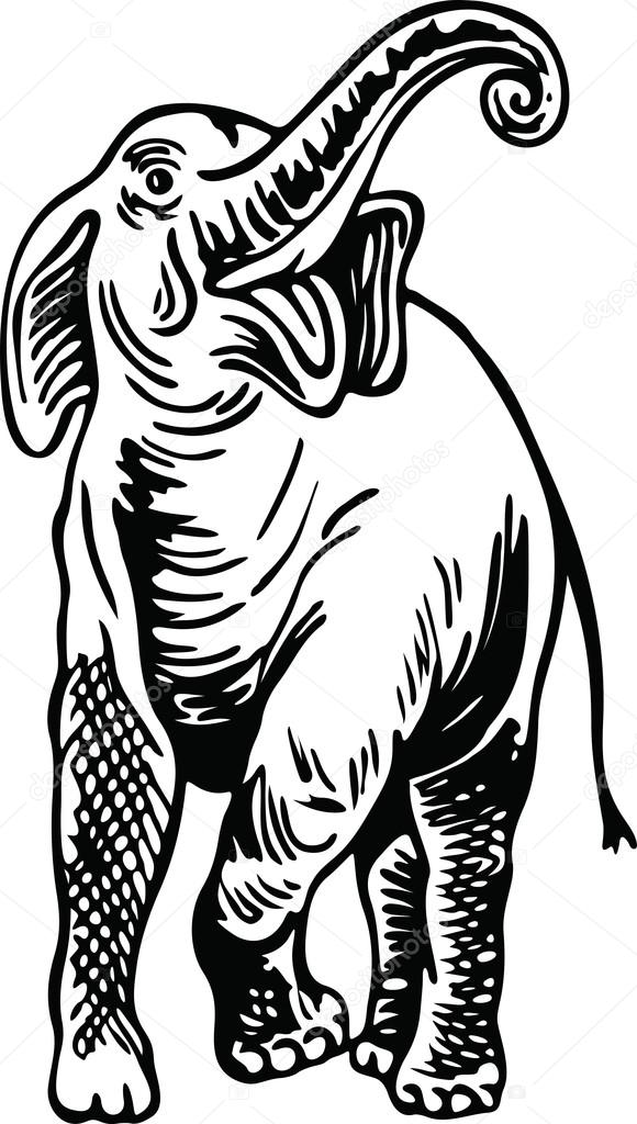Drawing of a wild elephant