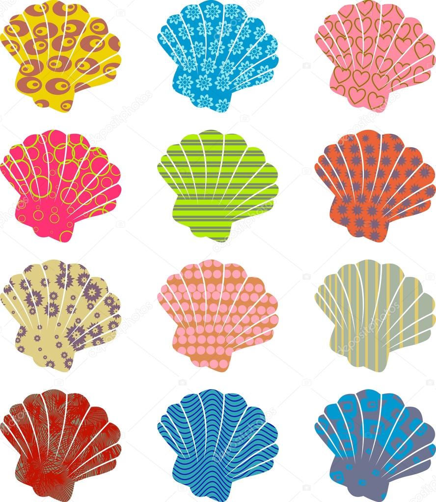 Pretty sea shell pattern.