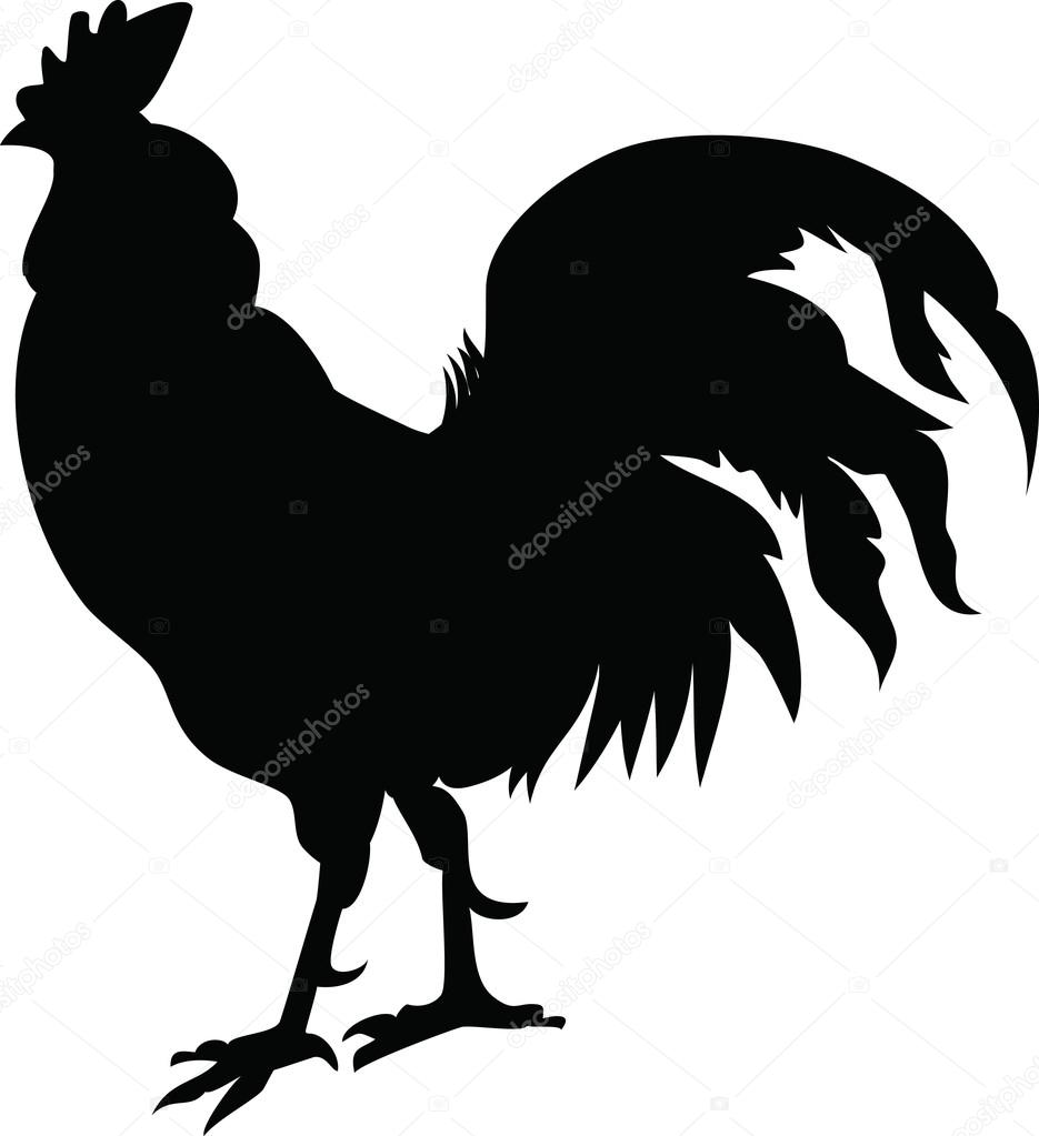 Silhouette of a rooster