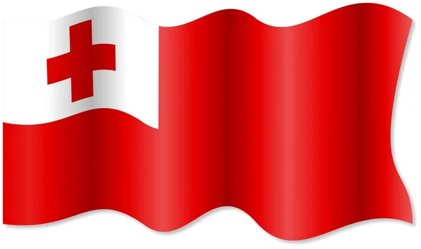 Tonga waving flag — Stock Photo, Image