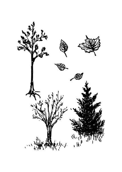 Alberi e abete rosso, illustrazione vettoriale — Vettoriale Stock