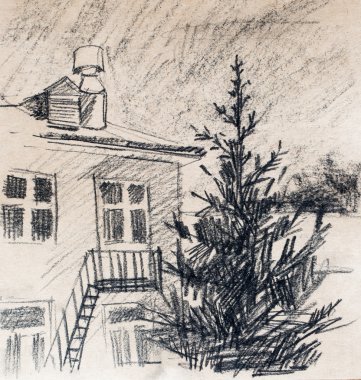 House, karakalem