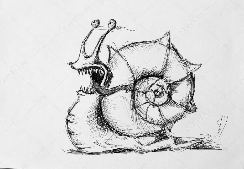 Sketch of snail, pencil drawing