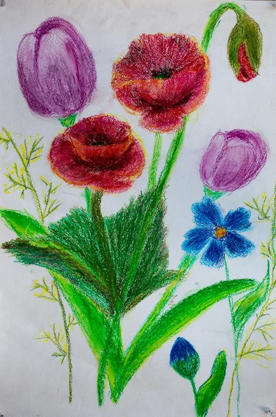 Kwiaty, ołówek, malarstwo — Zdjęcie stockowe