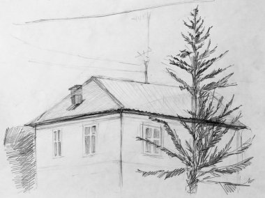 House, karakalem