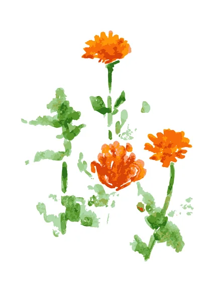 Flor, ilustración vectorial — Vector de stock