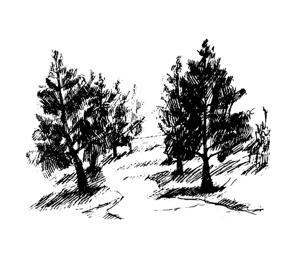 Skog, vektor illustration — Stock vektor
