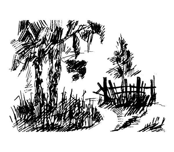 Foresta, illustrazione vettoriale — Vettoriale Stock
