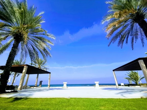 阿曼马斯喀特附近一个旅游胜地的海滨全景 有棕榈树 — 图库照片